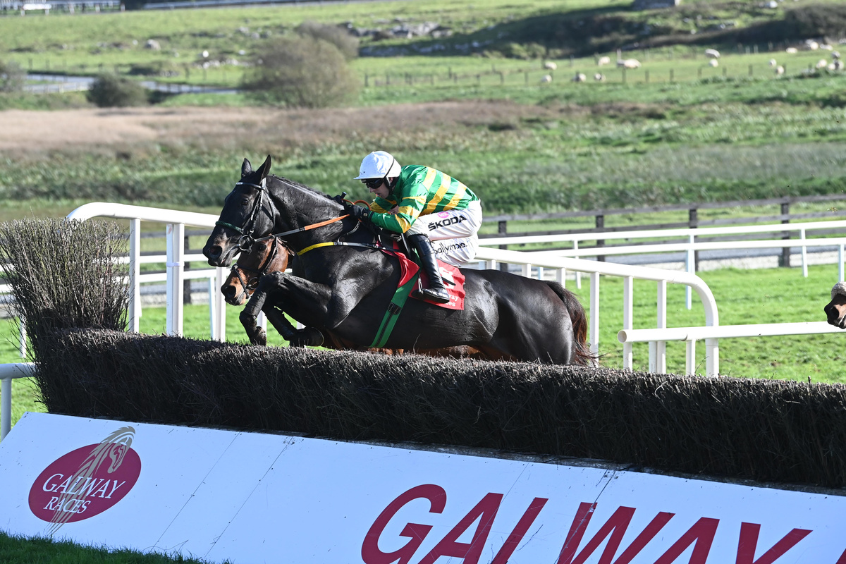 Thedevilscoachman earns Garde 2 honours at Navan