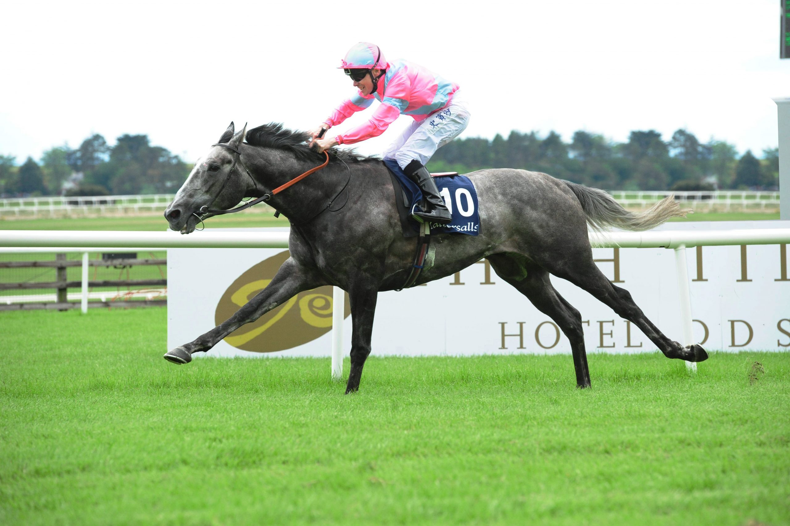 The Ice Phoenix Soars to Victory at Lingfield