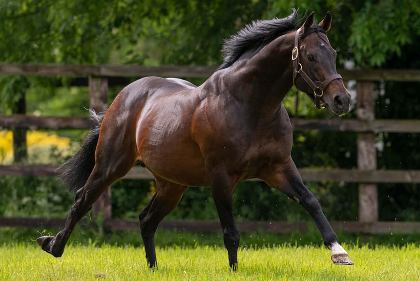 Danyah, new Stakes winner for Invincible Spirit