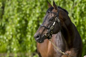 Stakes winner for Invincible Spirit