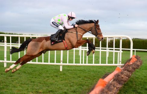 Faugheen