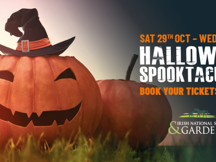 Halloween Spooktacular at the Irish National Stud-thumbnail