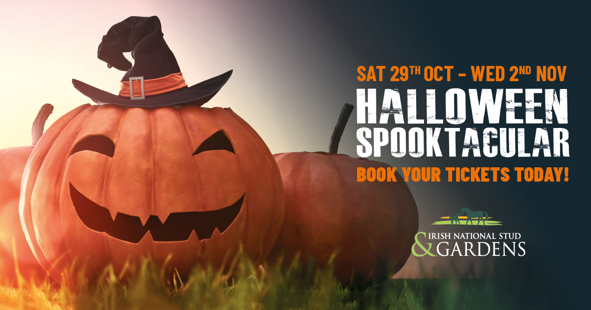 Halloween Spooktacular at the Irish National Stud