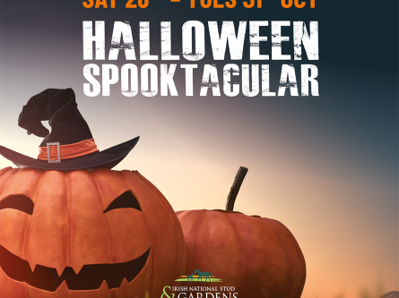 Halloween Spooktacular-thumbnail