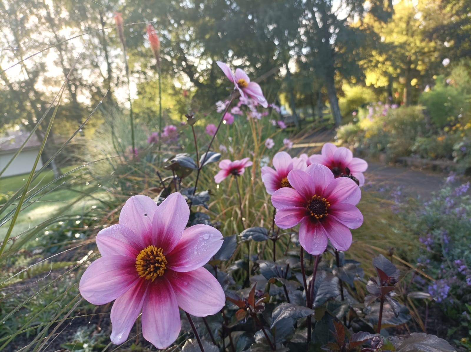 Gardening in September is a time for taking stock