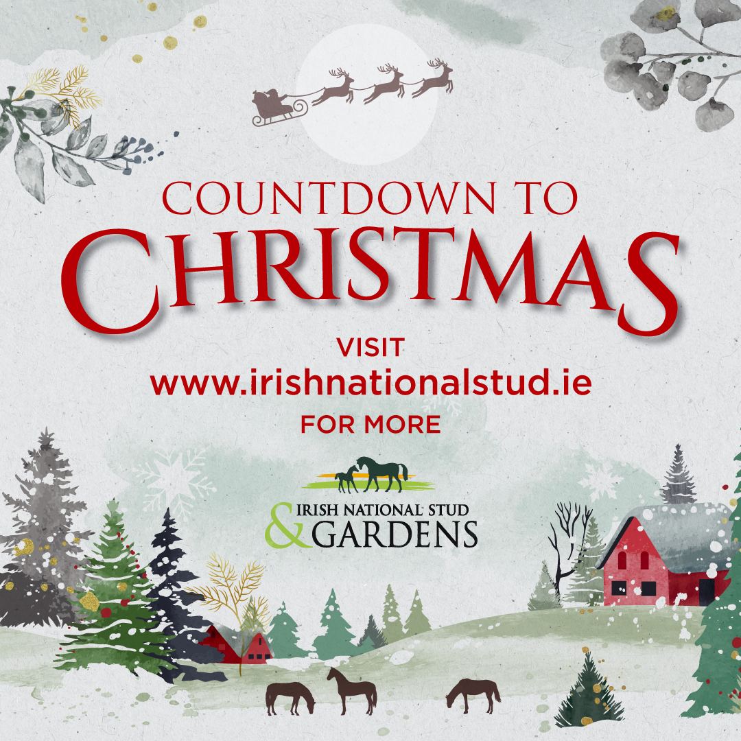 Countdown to Christmas at the Irish National Stud & Gardens