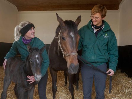 I.N.S Thoroughbred Breeding Management Class of 2023 Announced-thumbnail