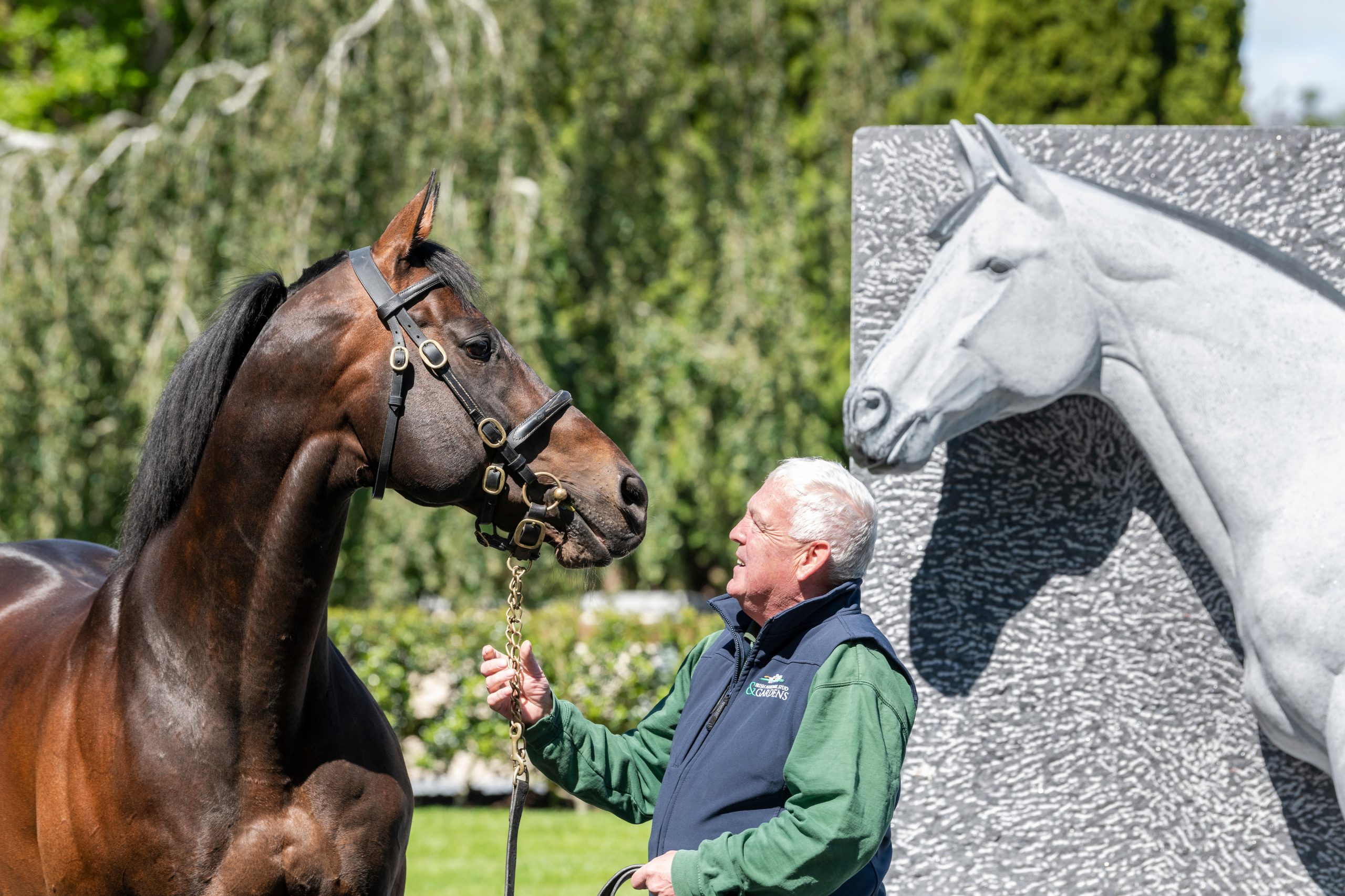 Mutasaabeq wins the Group 2 Bet365 Mile