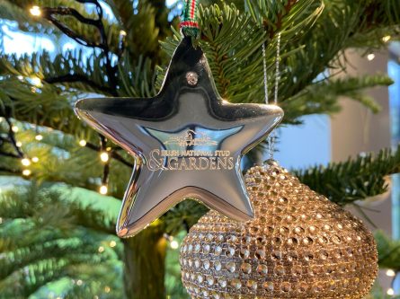 Star product of the month Newbridge Silverware Christmas decorations-thumbnail
