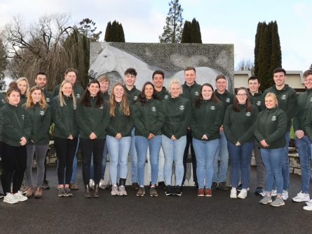 Irish National Stud welcome the Class of 2023-thumbnail