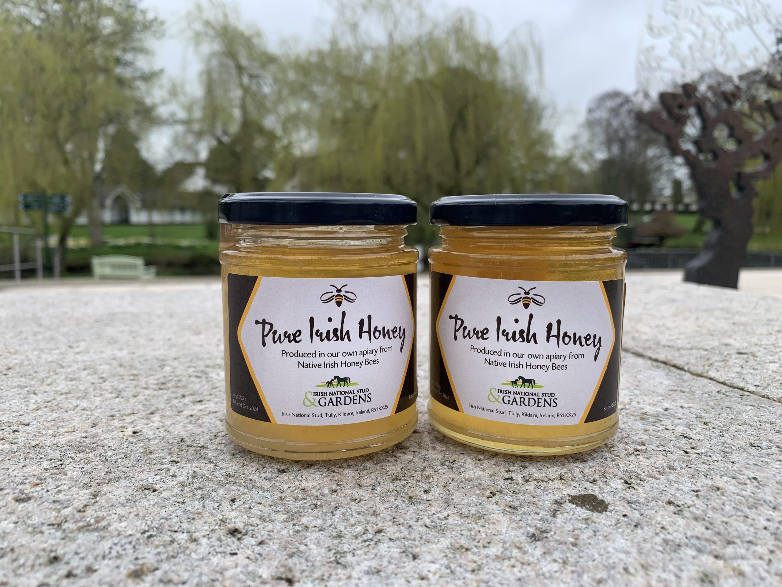 Buzzing with Flavor: The Story of Our 100% Pure Irish Honey