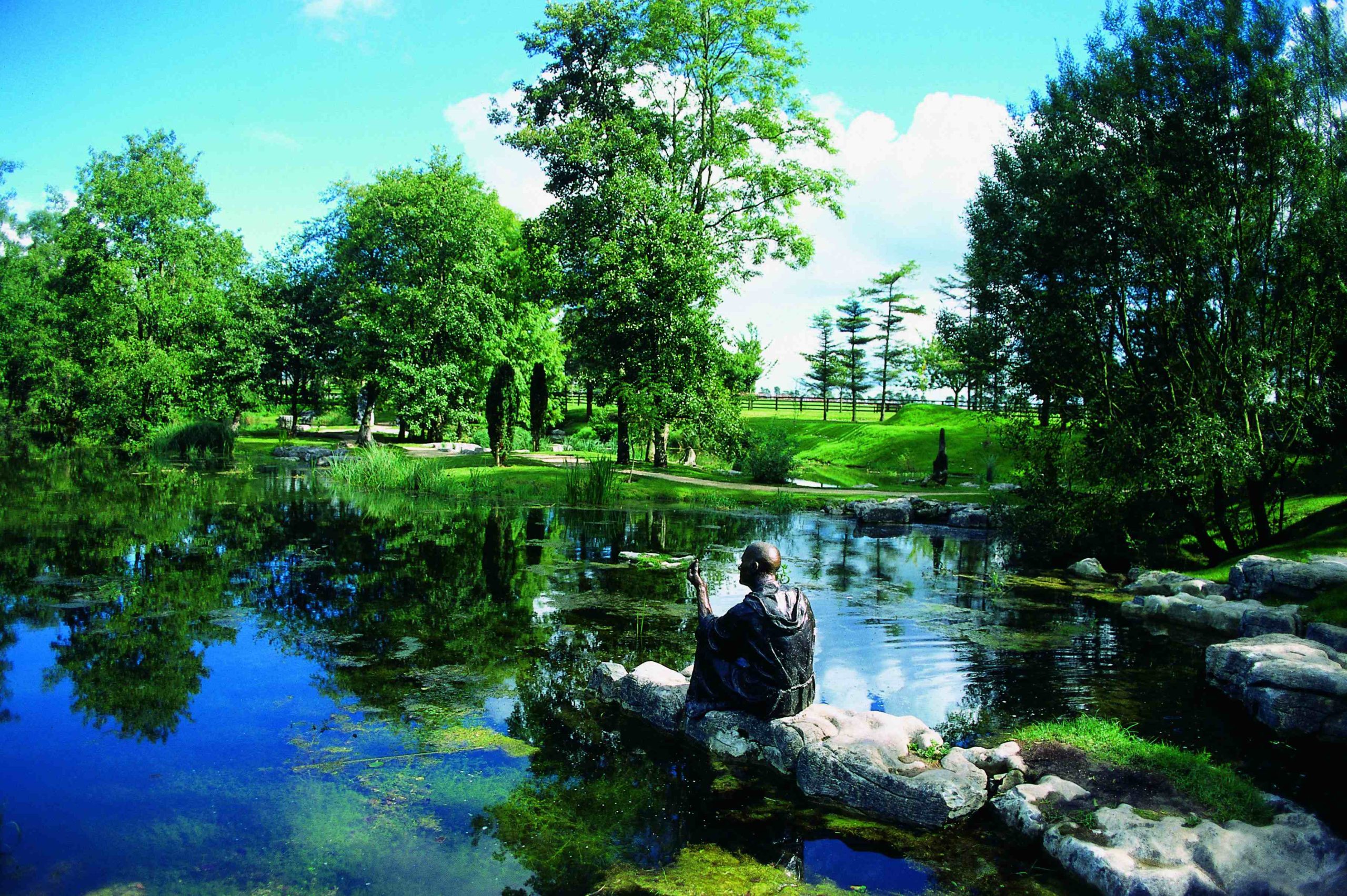 Celebrating Biodiversity Week at the Irish National Stud