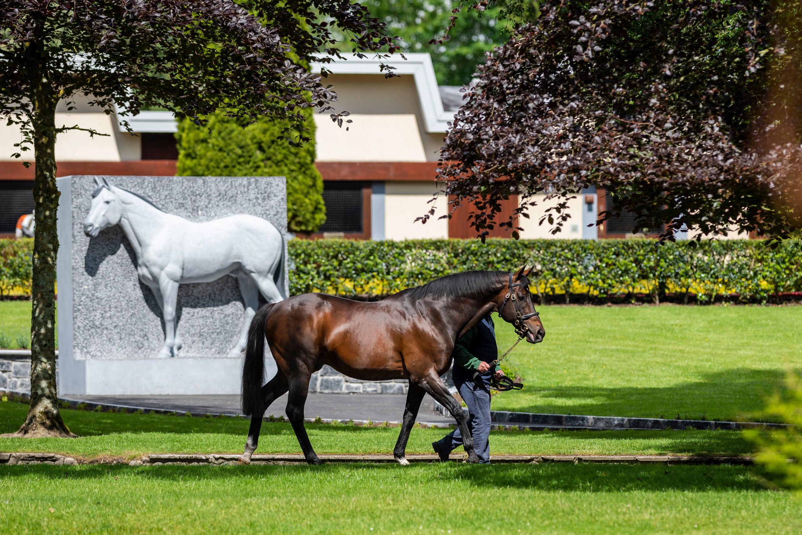 Kylian, a Dominant Winner of Dragon Stakes