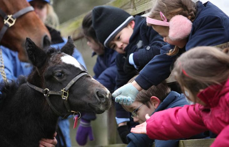 Exploring Nature and Learning at the Irish National Stud & Gardens School Tours