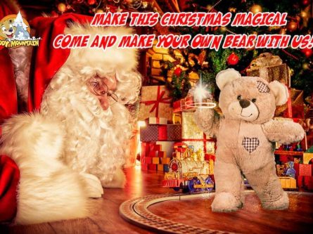 BUILD YOUR OWN CHRISTMAS BEAR AT THE IRISH NATIONAL STUD & GARDENS DECEMBER 2nd-thumbnail