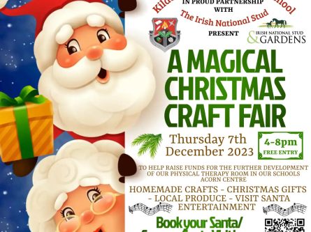 Kildare Town Community School Christmas Craft Fair-thumbnail