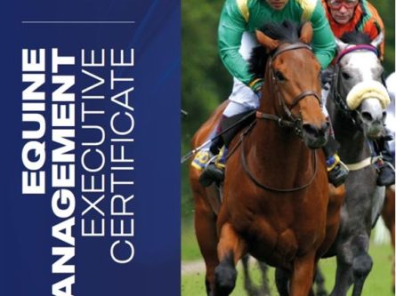 Equine Management Executive Certificate-thumbnail