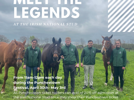 Meet The Legends at The Irish National Stud-thumbnail