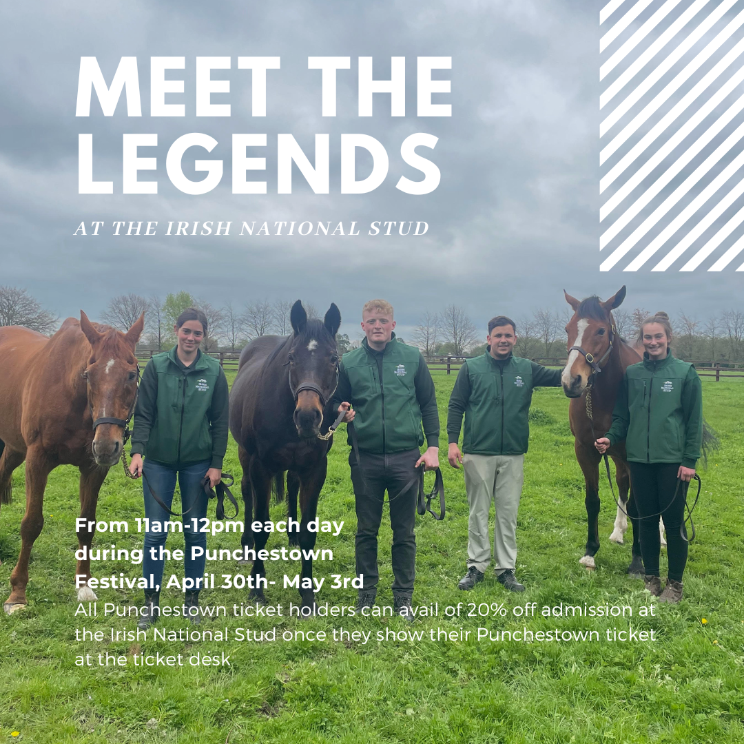 Meet The Legends at The Irish National Stud