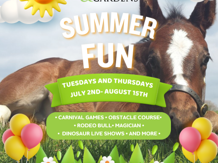 Summer Fun Events at the Irish National Stud 2024: Tues & Thurs from Jul 2nd to Aug 15th-thumbnail