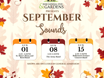 September Sounds- Live Music Sunday’s this September!-thumbnail