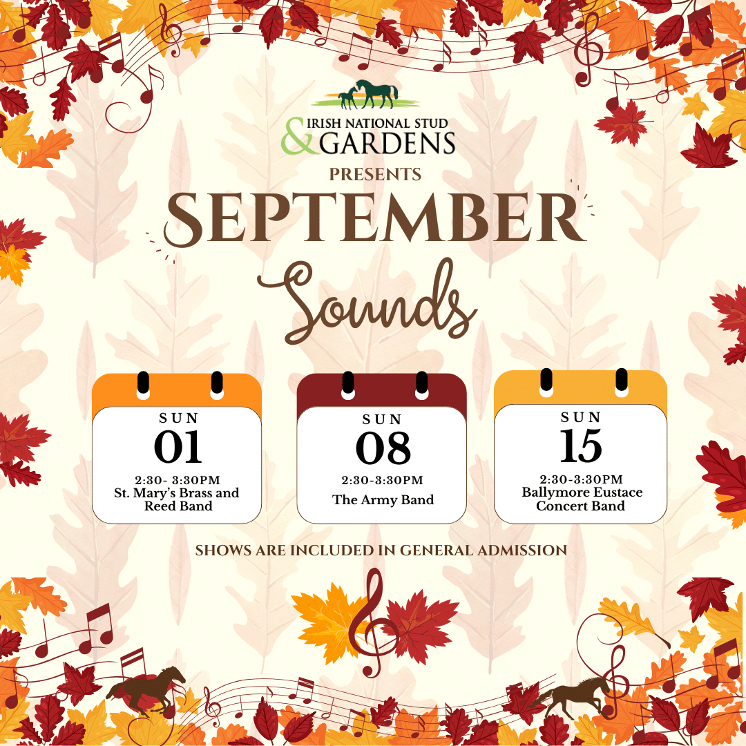 September Sounds- Live Music Sunday’s this September!