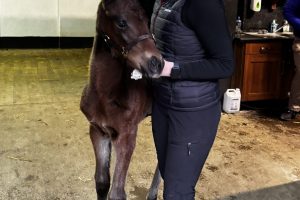 Claire & Foal