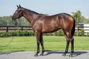 Lucky Vega filly ex Our Eppy sold for $200,000