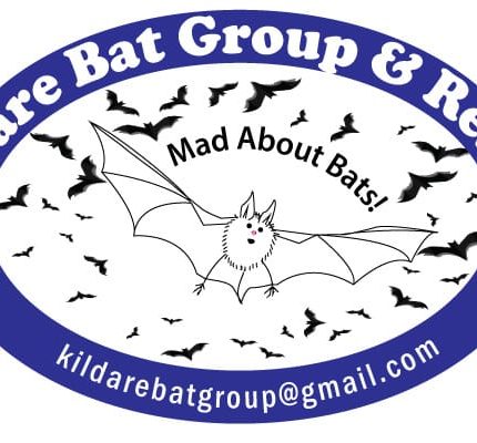 Bat Walk at St. Fiachra’s Garden – 20th May at 9pm
