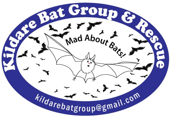 Bat Walk at St. Fiachra’s Garden – 20th May at 9pm