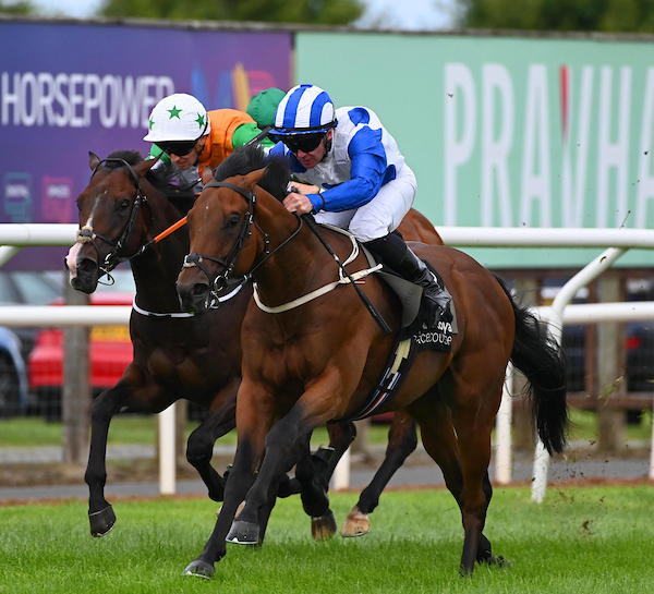 Howd’yadoit Adds to Strong Start for Nando Parrado