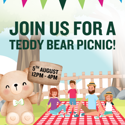 Teddy Bear Picnic at the Irish National Stud & Gardens – A Beary Special Family Day Out!