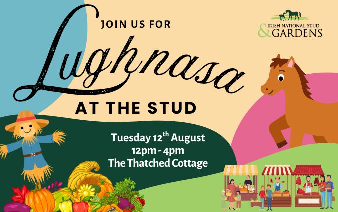 Lughnasa At The Stud – A Harvest Festival of Family Fun
