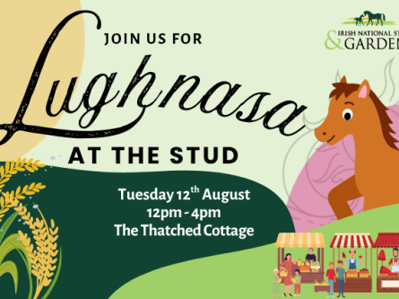 Lughnasa At The Stud – A Harvest Festival of Family Fun-thumbnail