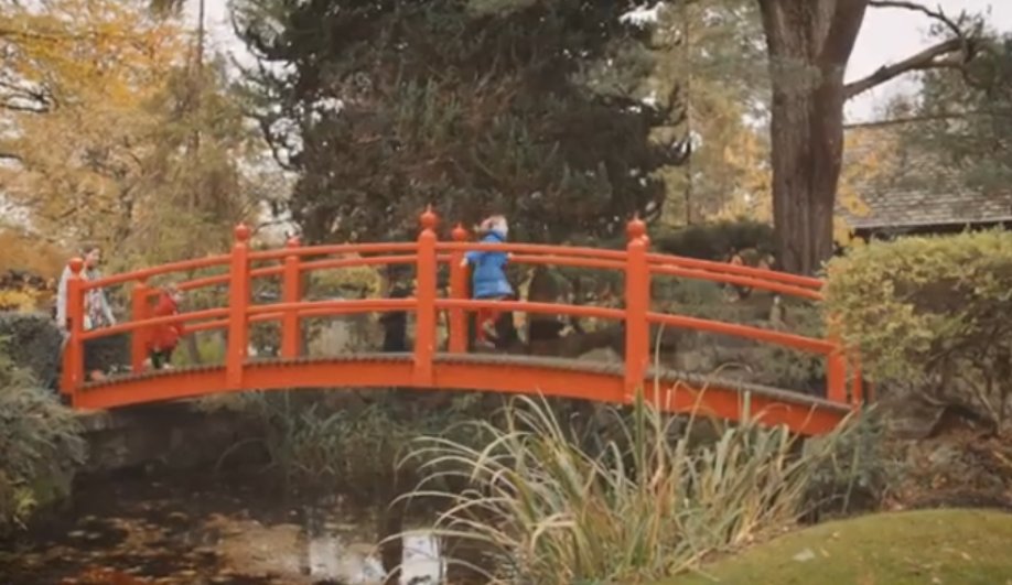 A video showcasing the Irish National Stud & Japanese Gardens as a family enjoys a day out.