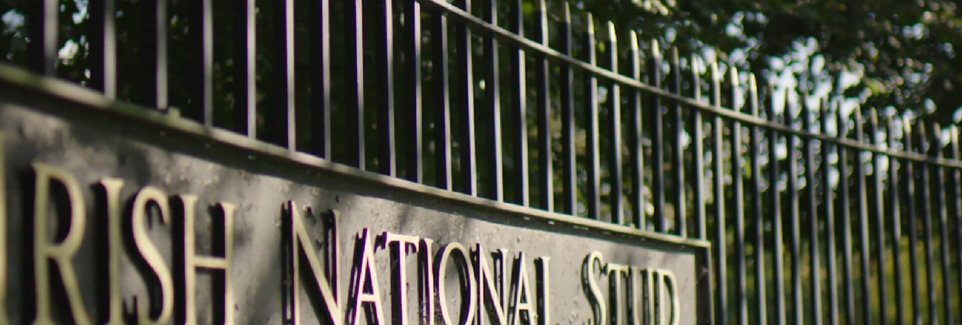 Irish National Stud Video Thumbnail - Placeholder