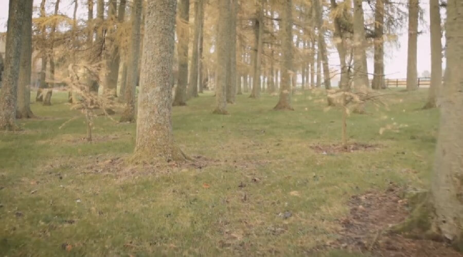 A video showcasing the Irish National Stud & Gardens as a perfect family day out.