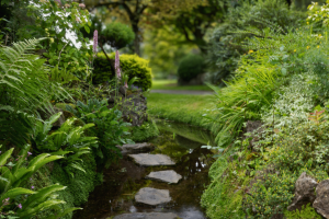 Stepping stones along a narrow stream in the Japanese Gardens, surrounded by lush greenery on a calm day.