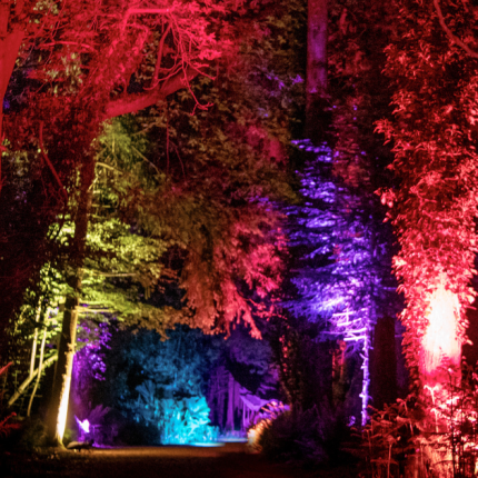 Land of Light